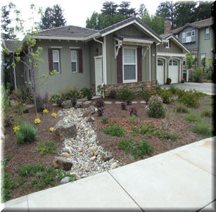 Dry Creek Beds